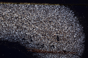 Cross Polarized, E30966