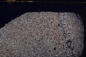 Cross Polarized, E30967