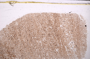 Plane Polarized, E30967