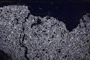 Cross Polarized, E30968