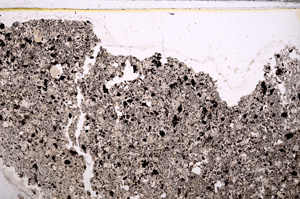 Plane Polarized, E30968