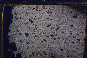 Cross Polarized, E30970