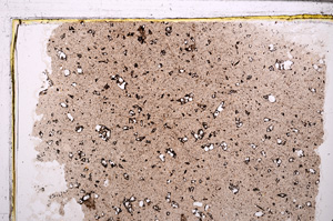 Plane Polarized, E30970