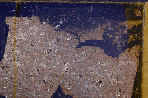 Cross Polarized, E30971