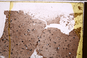 Plane Polarized, E30971