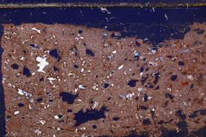 Cross Polarized, E30972