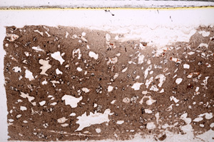 Plane Polarized, E30972