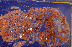 Cross Polarized, E30973