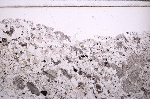 Plane Polarized, E30996