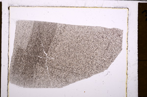 Plane Polarized, E30997