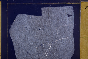Cross Polarized, E30998