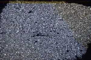Cross Polarized, E31014