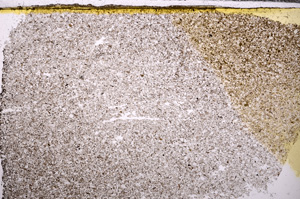 Plane Polarized, E31014