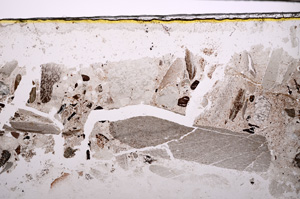 Plane Polarized, E31024