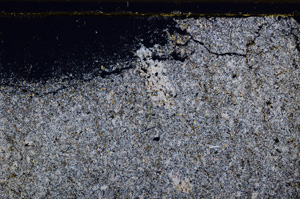 Cross Polarized, E31026