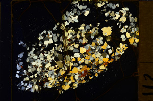 Cross Polarized, E31087