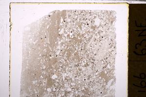 Plane Polarized, E31099