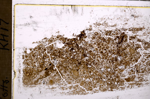 Plane Polarized, E31158