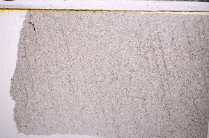 Plane Polarized, E31215