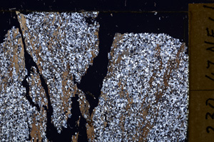 Cross Polarized, E31216