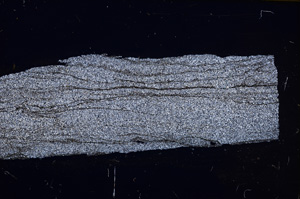 Cross Polarized, E31217