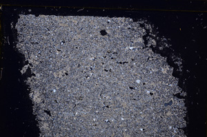 Cross Polarized, E31335
