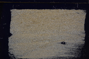 Cross Polarized, E31350