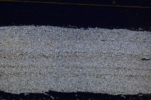 Cross Polarized, E31353