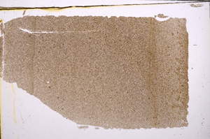 Plane Polarized, E31356