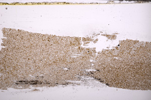 Plane Polarized, E31361