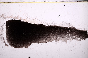Plane Polarized, E31368