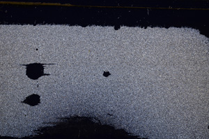 Cross Polarized, E31371