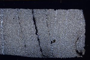 Cross Polarized, E31374