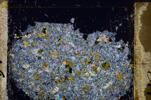 Cross Polarized, E31398