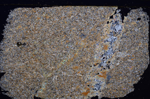 Cross Polarized, E31431