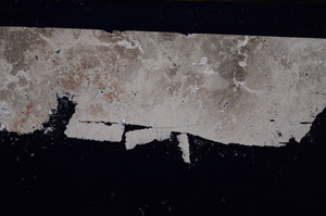 Cross Polarized, E31448