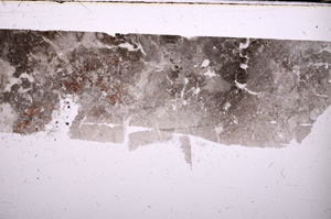 Plane Polarized, E31448
