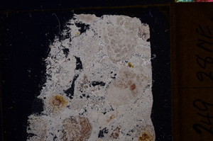 Cross Polarized, E31453