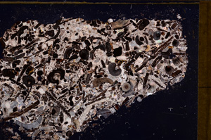 Cross Polarized, E31454