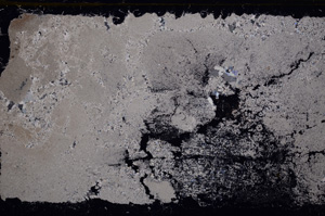 Cross Polarized, E31455