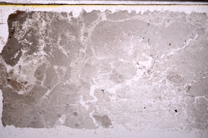 Plane Polarized, E31455