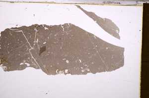 Plane Polarized, E31576