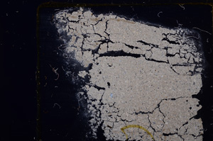 Cross Polarized, E31584