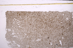 Plane Polarized, E31587