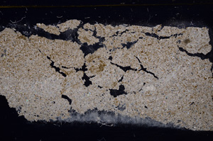 Cross Polarized, E31589