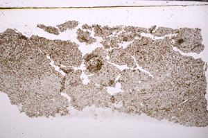Plane Polarized, E31589