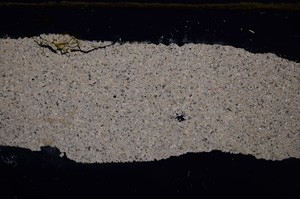 Cross Polarized, E31590