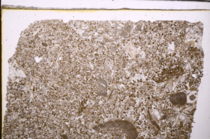 Plane Polarized, E31597