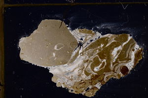 Cross Polarized, E31604