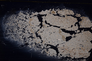 Cross Polarized, E31608